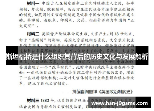 斯坦福桥是什么组织其背后的历史文化与发展解析